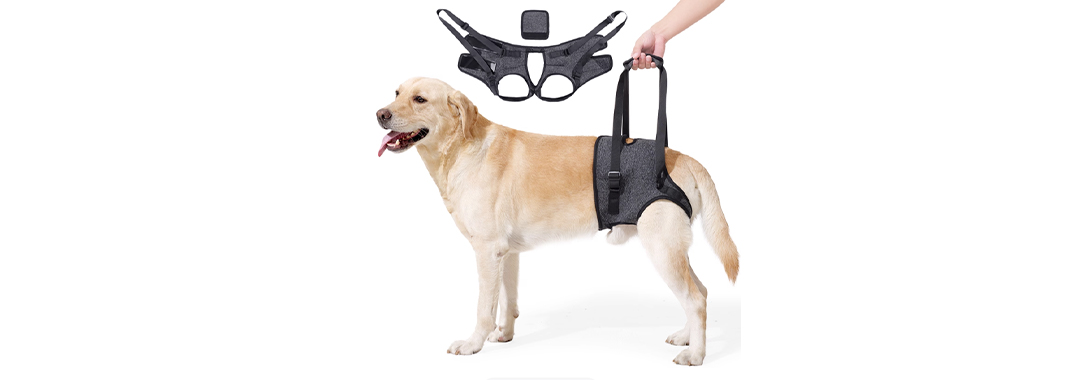 Hind Leg/Rear Body Support Lift Strap Hind Leg/Rear Body Support Lift Strap