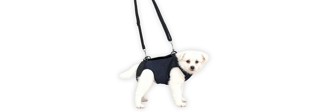Full Body Support Harness Full Body Support Harness