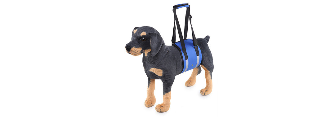 Walking Assistance dog Harness Walking Assistance dog Harness