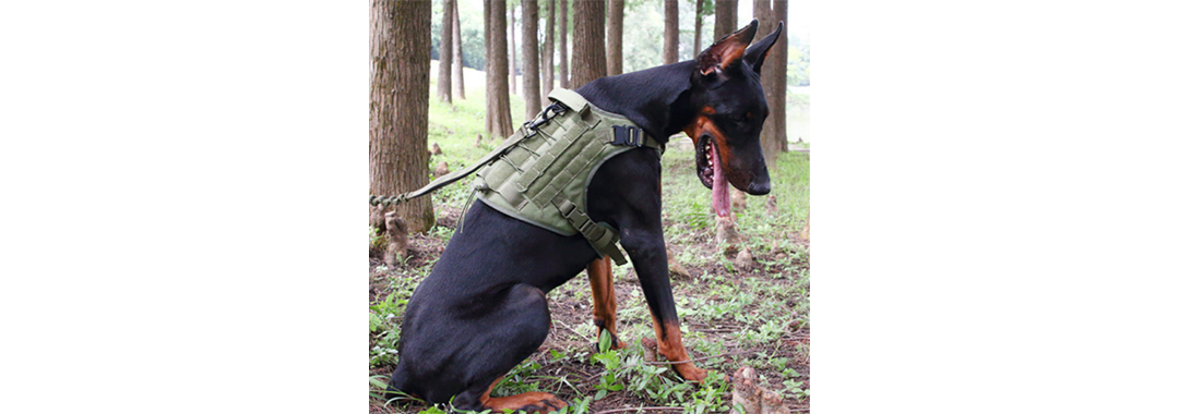 Sports Dog Harness Sports Dog Harness